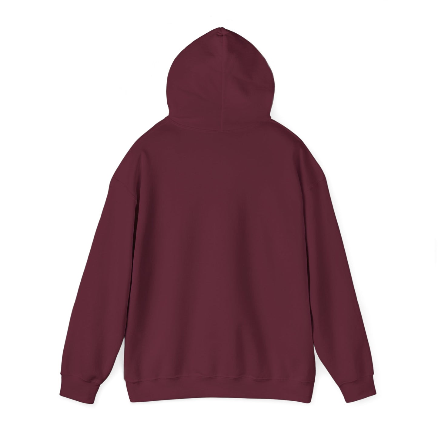 Hoodie - Dad / Funny - Dad Jokes (1)