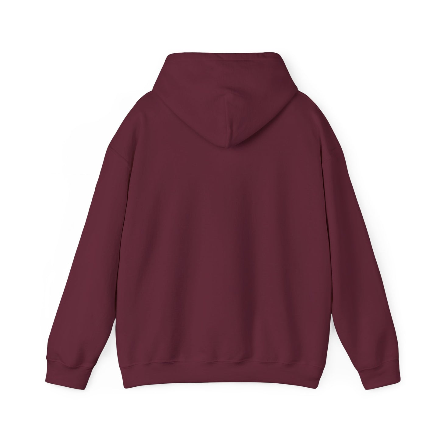 Hoodie - Dad / Funny - Dad Jokes (1)