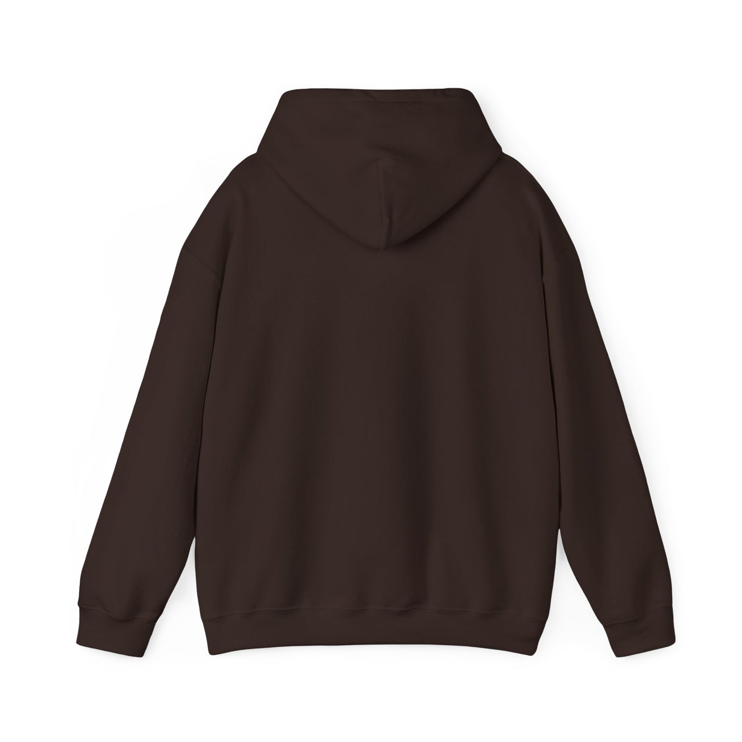 Hoodie - Dad / Funny - Dad Jokes (1)