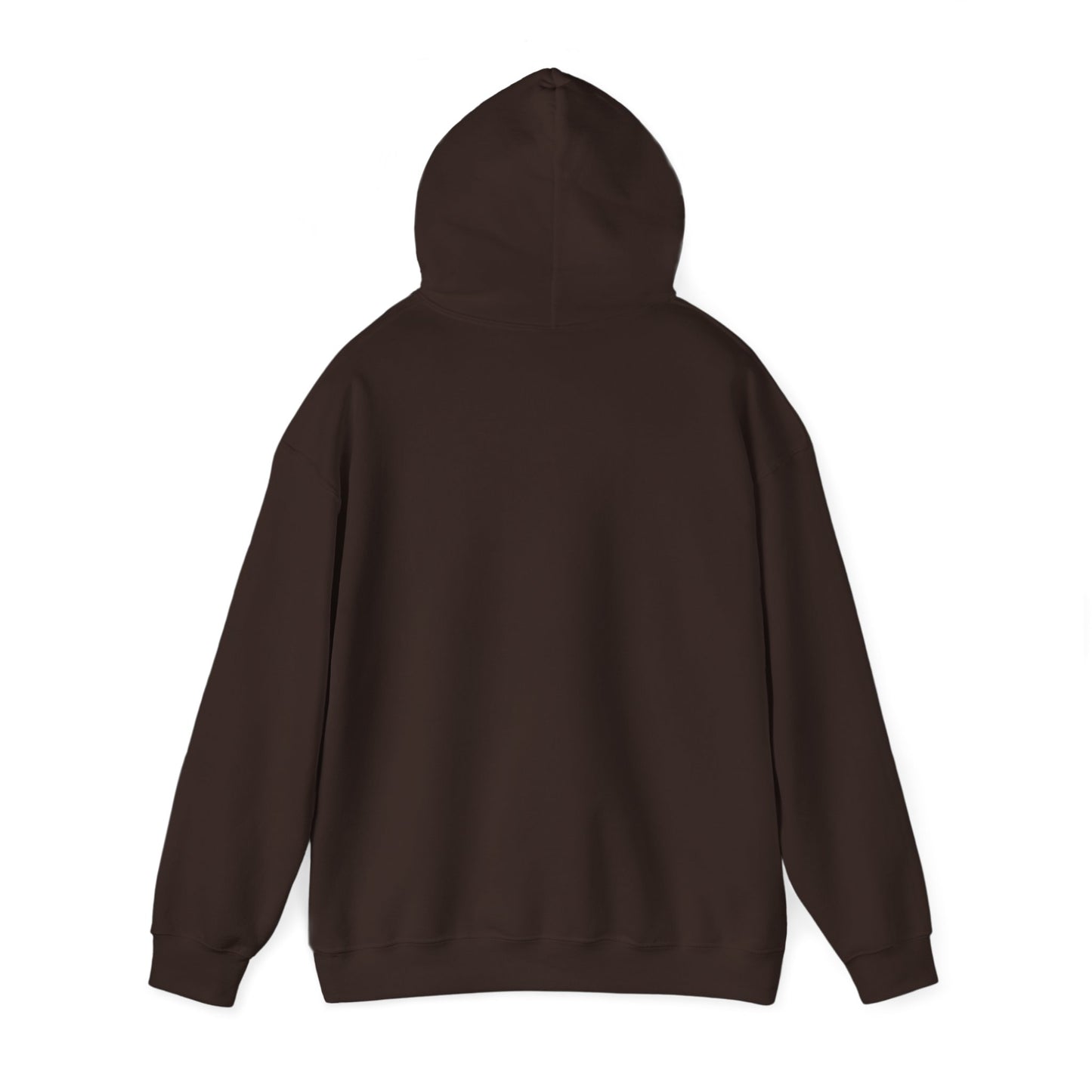 Hoodie - Dad / Funny - Dad Jokes (1)