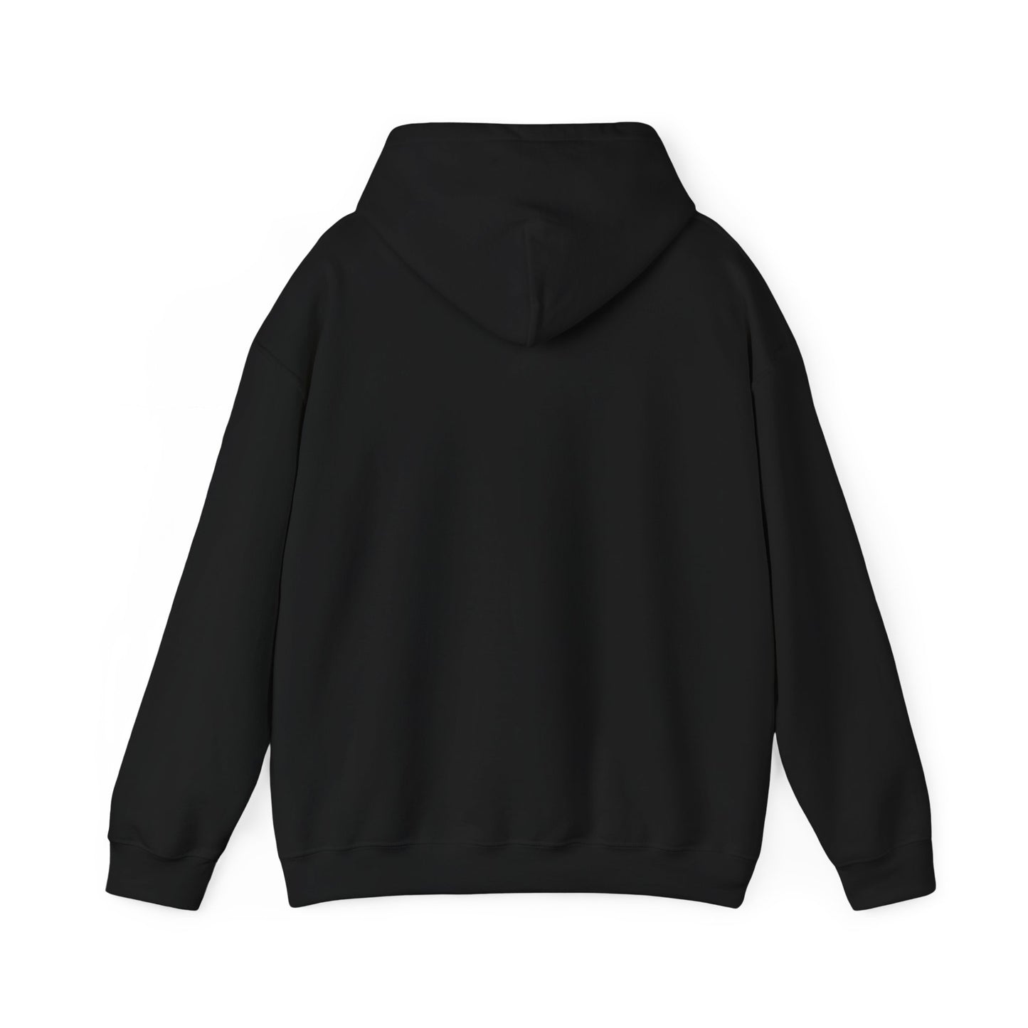 Hoodie - Dad / Funny - Dad Jokes (1)