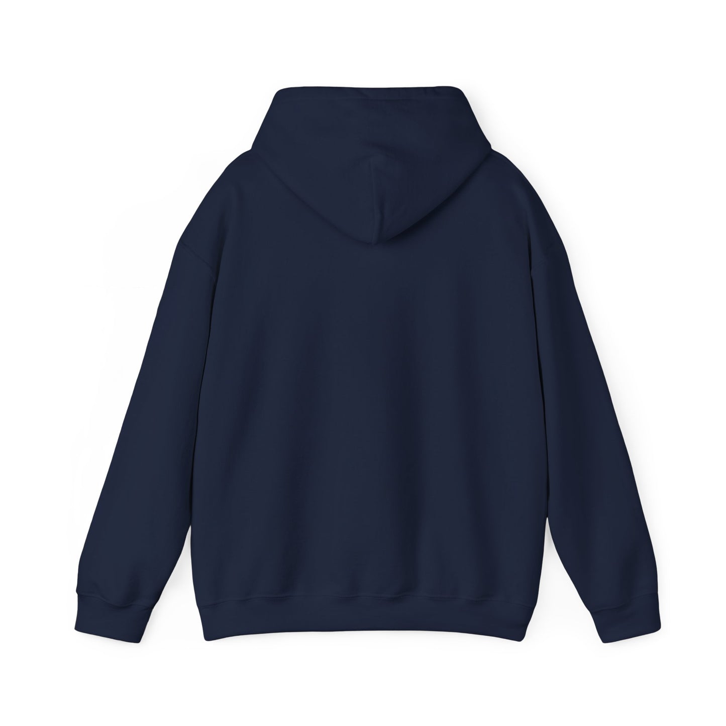 Hoodie - Dad / Funny - Dad Jokes (1)