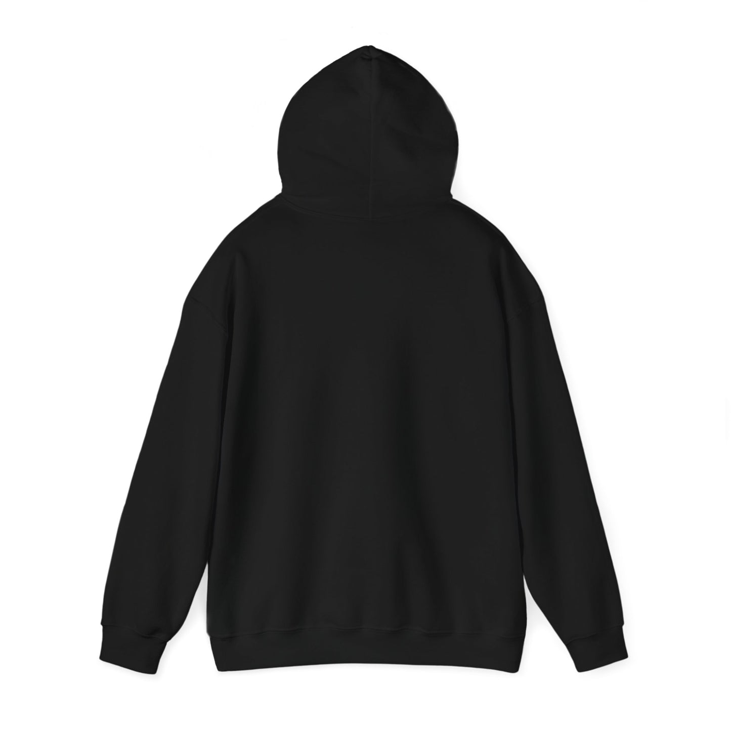 Hoodie - Dad / Funny - Dad Jokes (1)