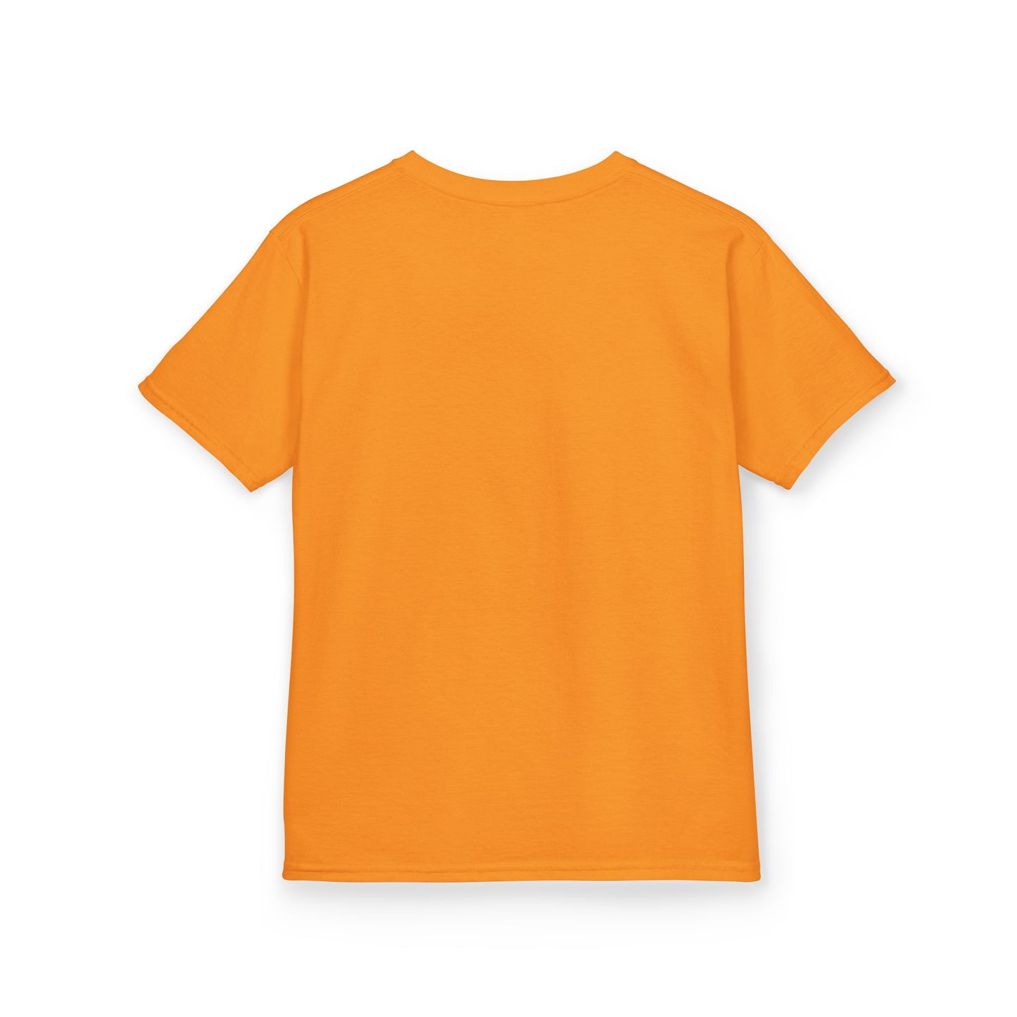 Child Tee - Animal - Flamingo - Summer Time (01)